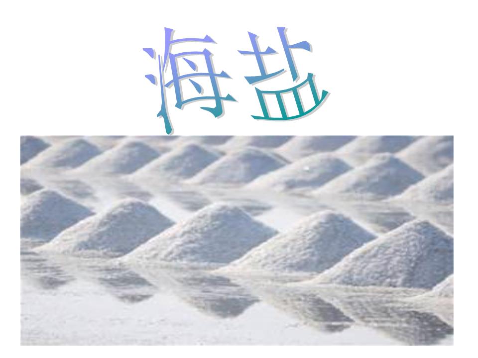 海盐演示文稿汇总.ppt